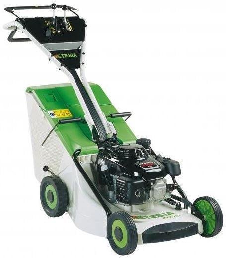 Etesia