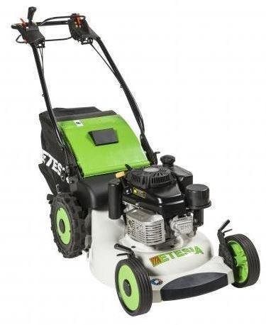 Etesia