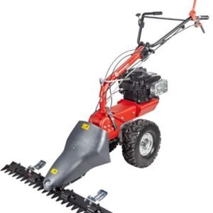 Eurosystems Mehrzweckgerät P70evo M 250 EVO mit B&S 950 Series - Grundmaschine ohne Anbaugeräte