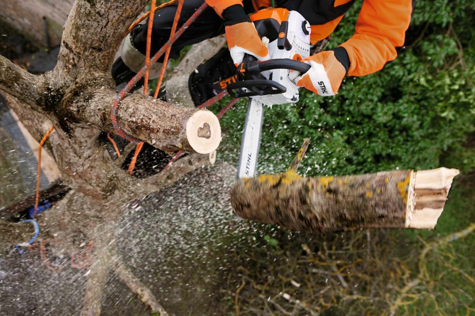 stihl-baumpflegesage-ms-201-tc-m-35-cm-61-ps3-3.jpg