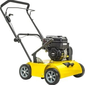 Texas Benzin-Vertikutierer Pro Cut 460B B & S Motor